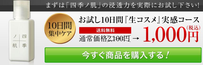 四季の肌