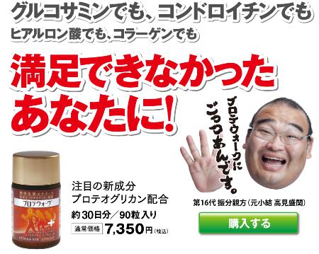 プロテオグリカン